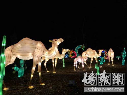 中国侨网孩子们在中国彩灯节上与舞狮互动。（美国《侨报》/翁羽 摄） 